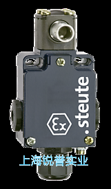  Ex 355 V10S 1?/1S - 10 mm 防爆鉸鏈防護(hù)門安全開關(guān)